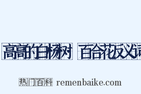 高高的白杨树·百合花反义词是什么意思的图片